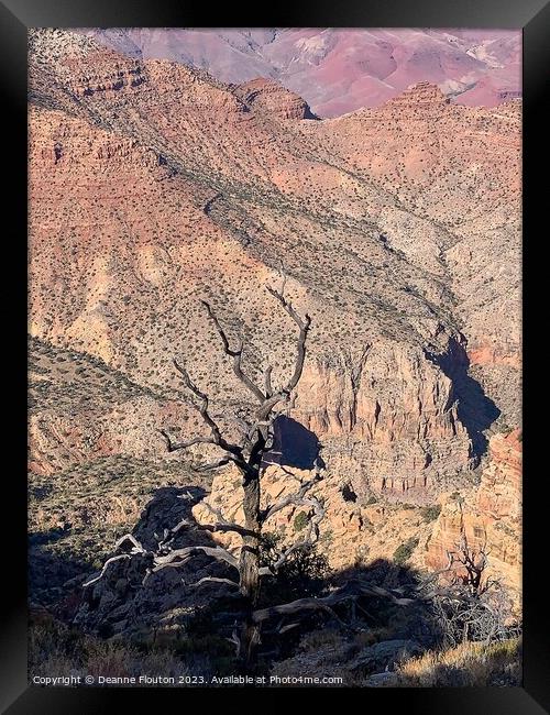 Mesmerizing Sunrise at Dead Tree Canyon Framed Print by Deanne Flouton