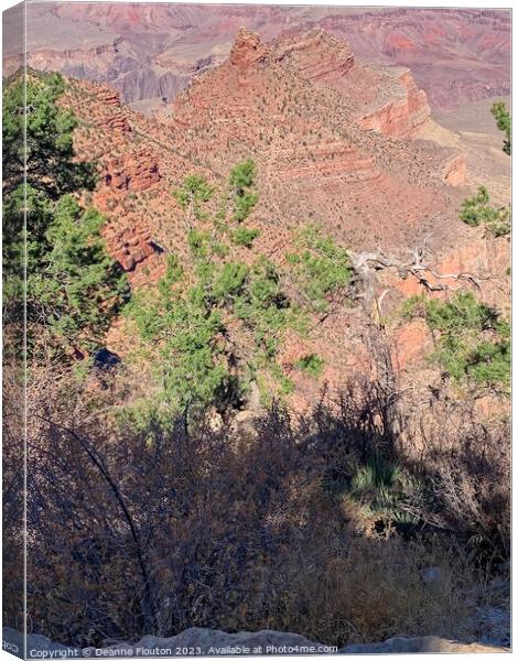 Natural Beauty of Grand Canyon Canvas Print by Deanne Flouton