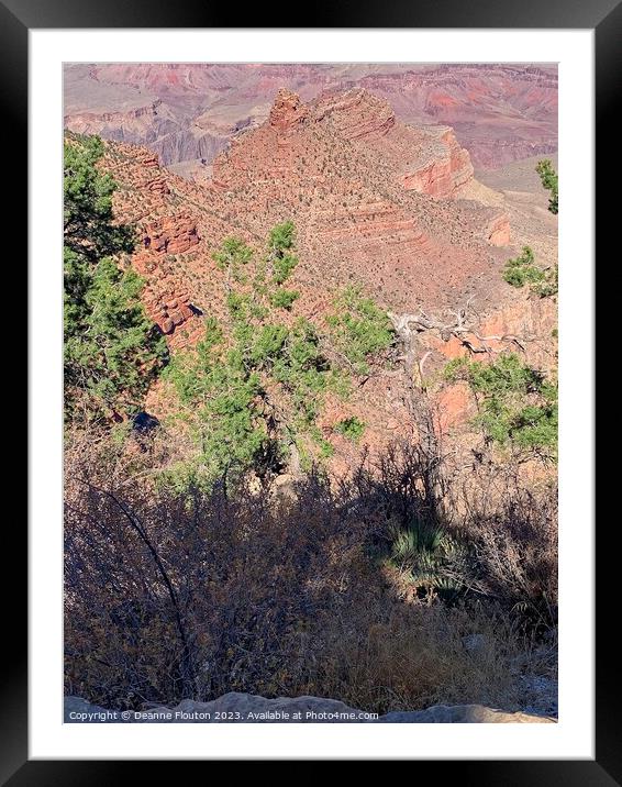 Natural Beauty of Grand Canyon Framed Mounted Print by Deanne Flouton