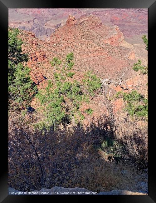 Natural Beauty of Grand Canyon Framed Print by Deanne Flouton