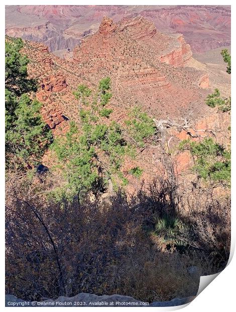 Natural Beauty of Grand Canyon Print by Deanne Flouton