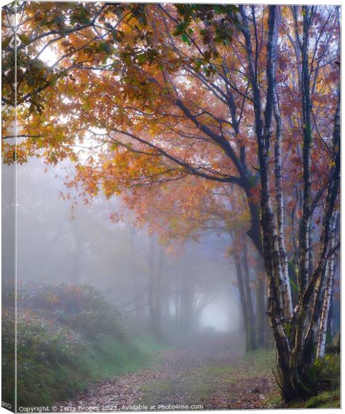 A Beautiful Warm Misty Autumn Woodland in Wales Canvas Print by Terry Brooks