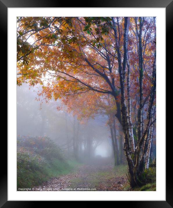 A Beautiful Warm Misty Autumn Woodland in Wales Framed Mounted Print by Terry Brooks
