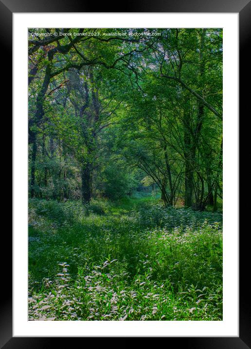 Enchanting Forest Walk Framed Mounted Print by Derek Daniel