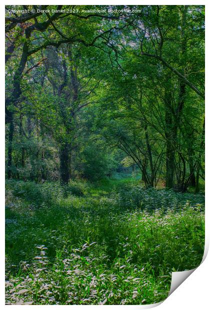 Enchanting Forest Walk Print by Derek Daniel