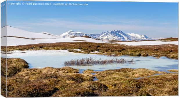Outdoor Arctic Tundra Landscape in Norway Pano Canvas Print by Pearl Bucknall