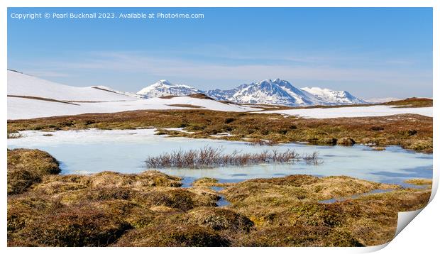 Outdoor Arctic Tundra Landscape in Norway Pano Print by Pearl Bucknall