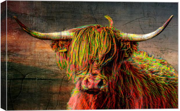 The Highland cow, in Cornwall, painted red Canvas Print by kathy white
