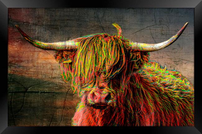 The Highland cow, in Cornwall, painted red Framed Print by kathy white