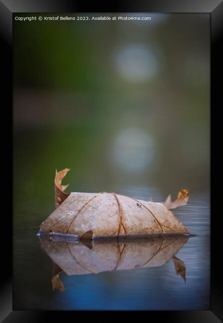 Vertical closeup shot of Autumn leaf in quiet water with reflections and blurry background. Framed Print by Kristof Bellens