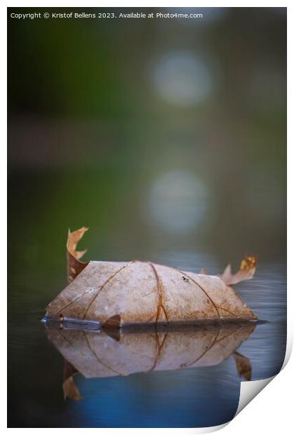 Vertical closeup shot of Autumn leaf in quiet water with reflections and blurry background. Print by Kristof Bellens