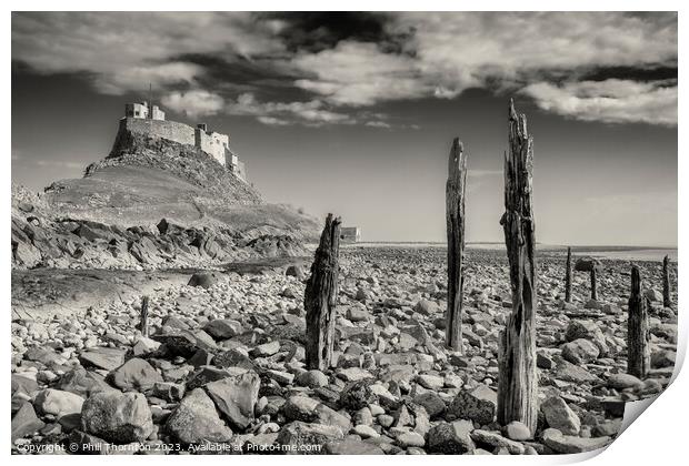 Majestic Lindisfarne Castle, Holy Island, Northumb Print by Phill Thornton
