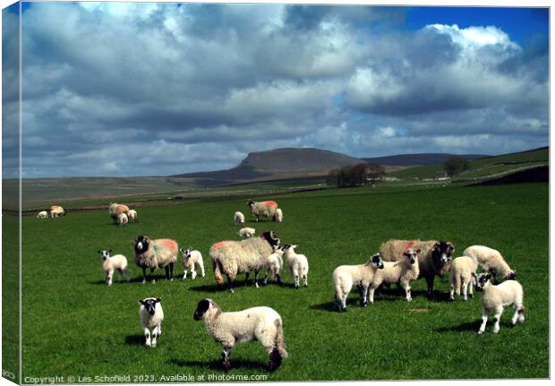 Majestic Yorkshire Dales Canvas Print by Les Schofield