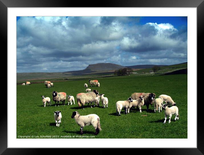 Majestic Yorkshire Dales Framed Mounted Print by Les Schofield