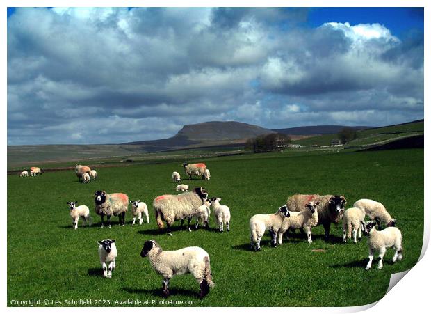 Majestic Yorkshire Dales Print by Les Schofield