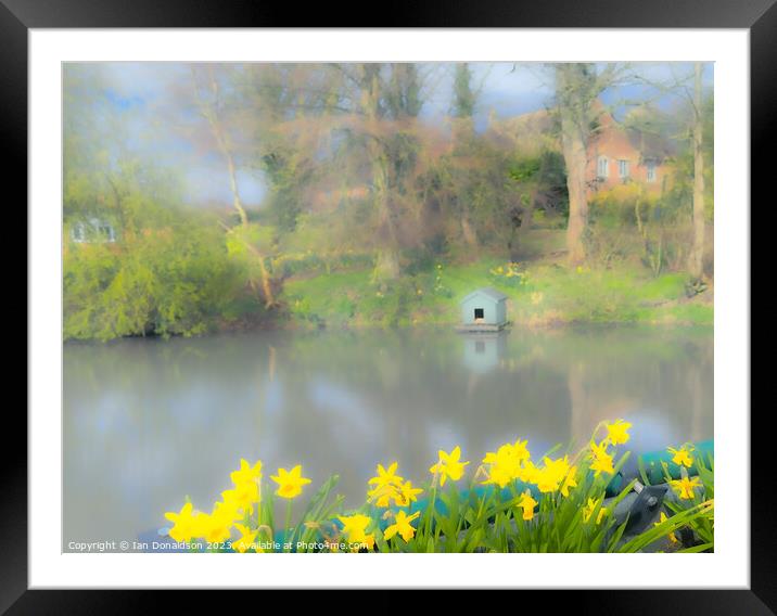 Spring at the Duckpond Framed Mounted Print by Ian Donaldson