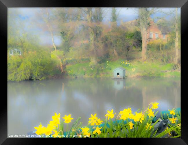 Spring at the Duckpond Framed Print by Ian Donaldson