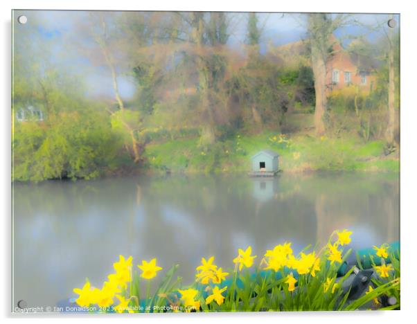 Spring at the Duckpond Acrylic by Ian Donaldson