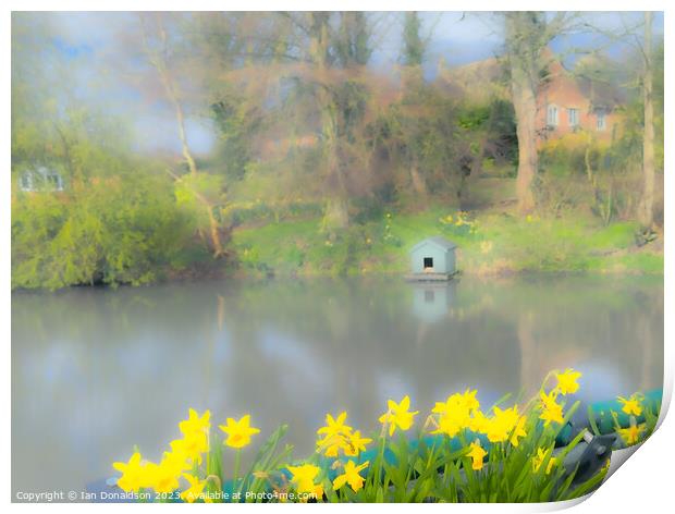 Spring at the Duckpond Print by Ian Donaldson