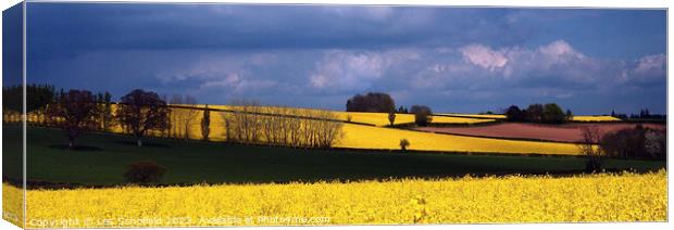 Golden Fields of Devon Canvas Print by Les Schofield