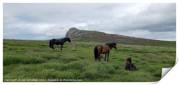 Majestic Dartmoor Ponies Print by Les Schofield