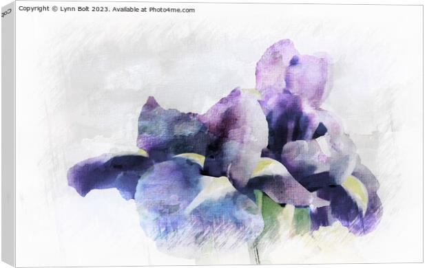Purple Irises with a Watercolour Effect Canvas Print by Lynn Bolt