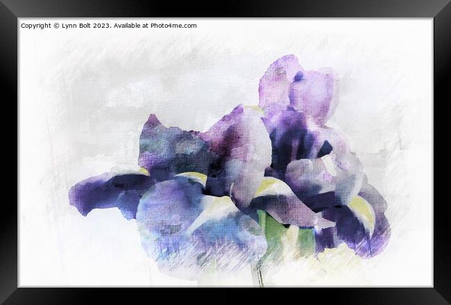 Purple Irises with a Watercolour Effect Framed Print by Lynn Bolt