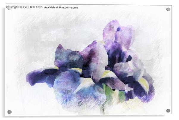 Purple Irises with a Watercolour Effect Acrylic by Lynn Bolt