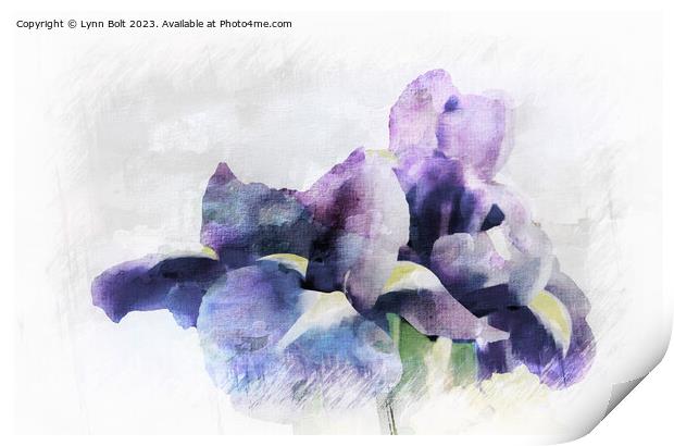 Purple Irises with a Watercolour Effect Print by Lynn Bolt