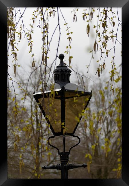 Bolton Abbey Lantern Framed Print by Glen Allen