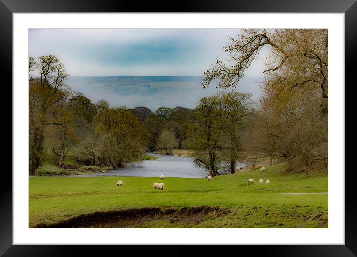 The Wharf Downstream of Bolton Abbey Framed Mounted Print by Glen Allen