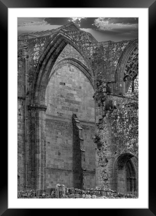 Bolton Abbey Ruins Mono Framed Mounted Print by Glen Allen