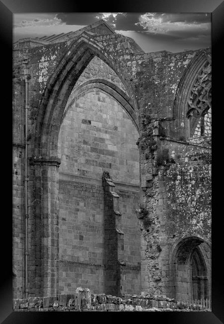Bolton Abbey Ruins Mono Framed Print by Glen Allen