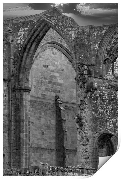 Bolton Abbey Ruins Mono Print by Glen Allen