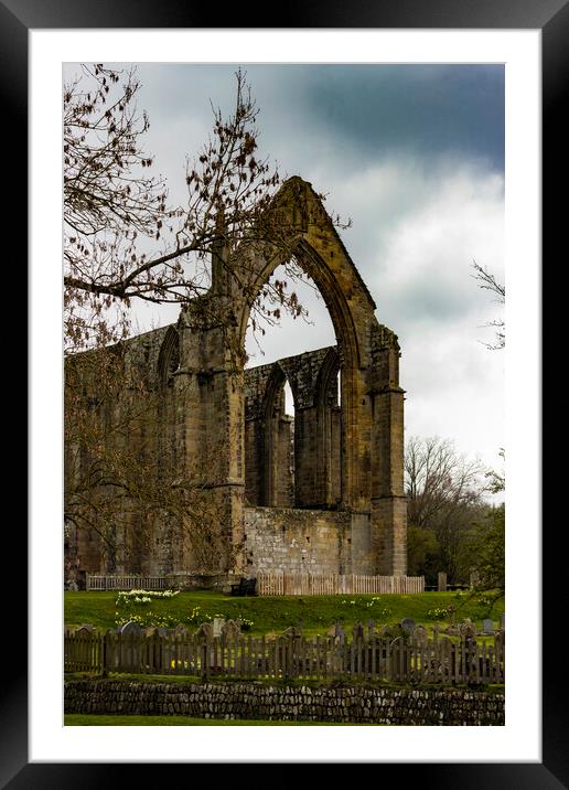 Bolton Abbey Ruins 03 Framed Mounted Print by Glen Allen