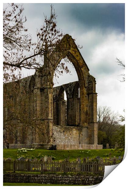 Bolton Abbey Ruins 03 Print by Glen Allen