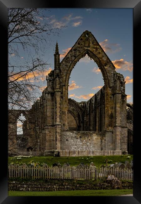 Bolton Abbey Ruins 04 Framed Print by Glen Allen