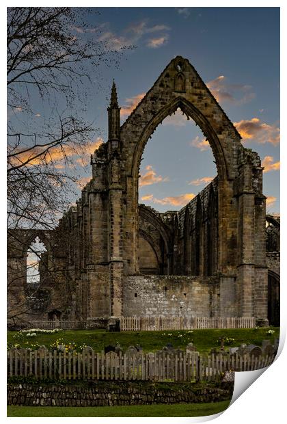 Bolton Abbey Ruins 04 Print by Glen Allen