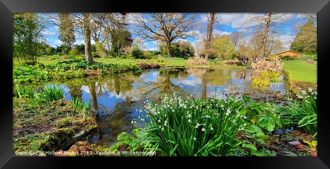 Beth chatto gardens Framed Print by Michael bryant Tiptopimage
