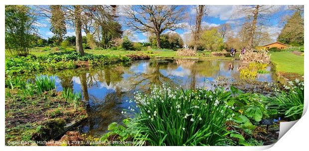 Beth chatto gardens Print by Michael bryant Tiptopimage