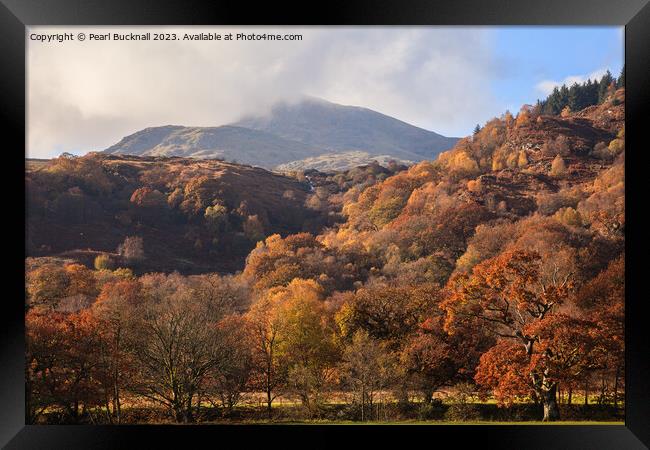 Moel Siabod Snowdonia in Autumn Framed Print by Pearl Bucknall