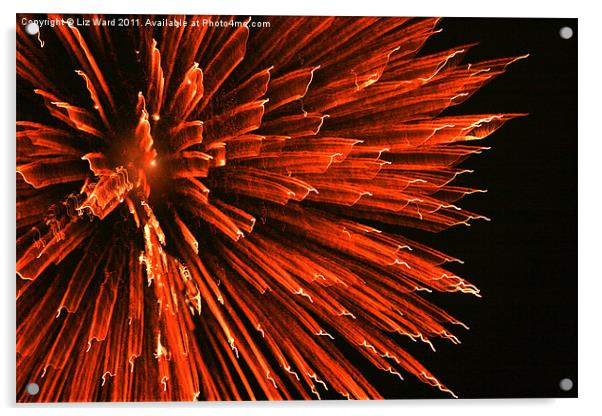 Fire Flower Acrylic by Liz Ward