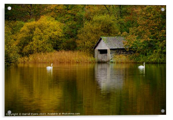 Swans and Boathouse Acrylic by Darrell Evans