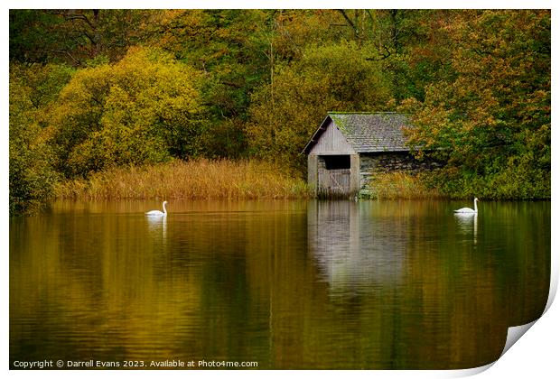 Swans and Boathouse Print by Darrell Evans