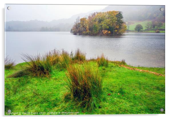 Island in Rydal Water Acrylic by Darrell Evans