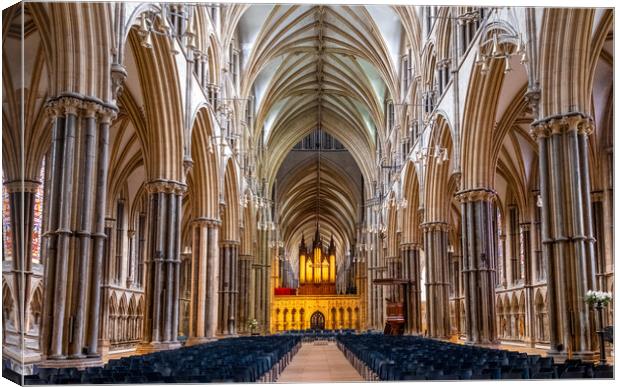 Lincoln Cathedral Canvas Print by Steve Smith