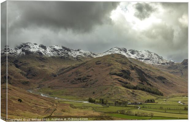 Winter in Great Langdale Canvas Print by Liz Withey