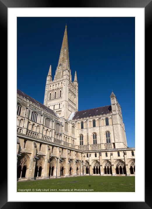 Majestic Norwich Cathedral Framed Mounted Print by Sally Lloyd