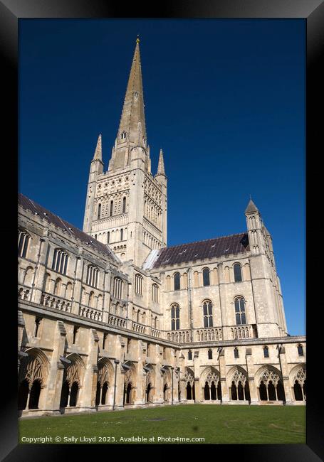 Majestic Norwich Cathedral Framed Print by Sally Lloyd
