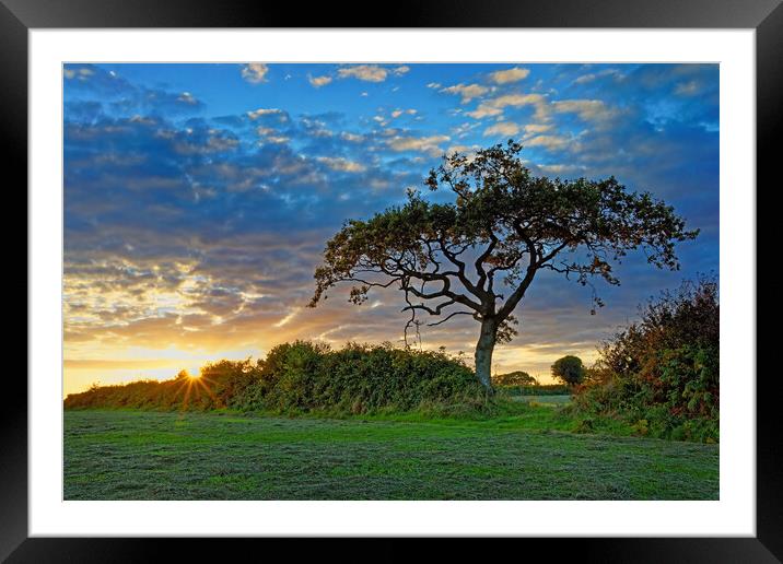 South Somerset Sunset Framed Mounted Print by Darren Galpin